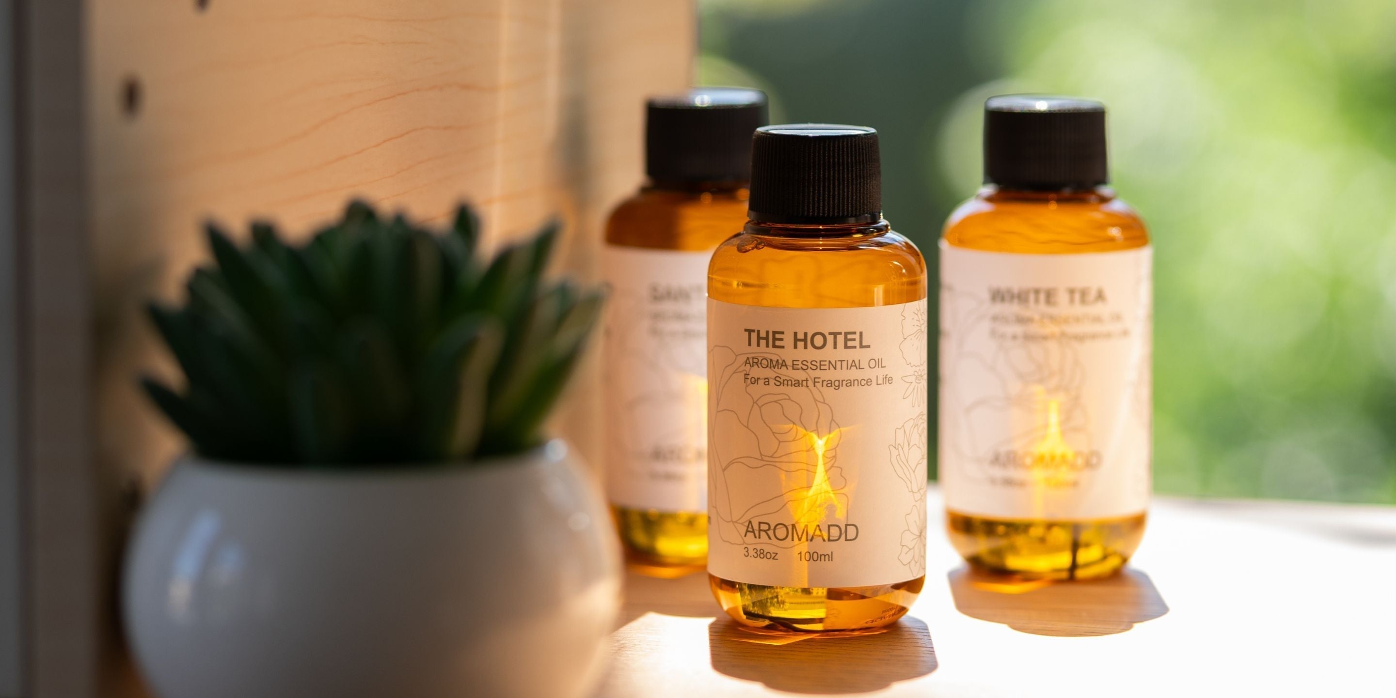 Santal & Hotel Oil: Elevating Your Halloween Ambiance with a High-End Twist