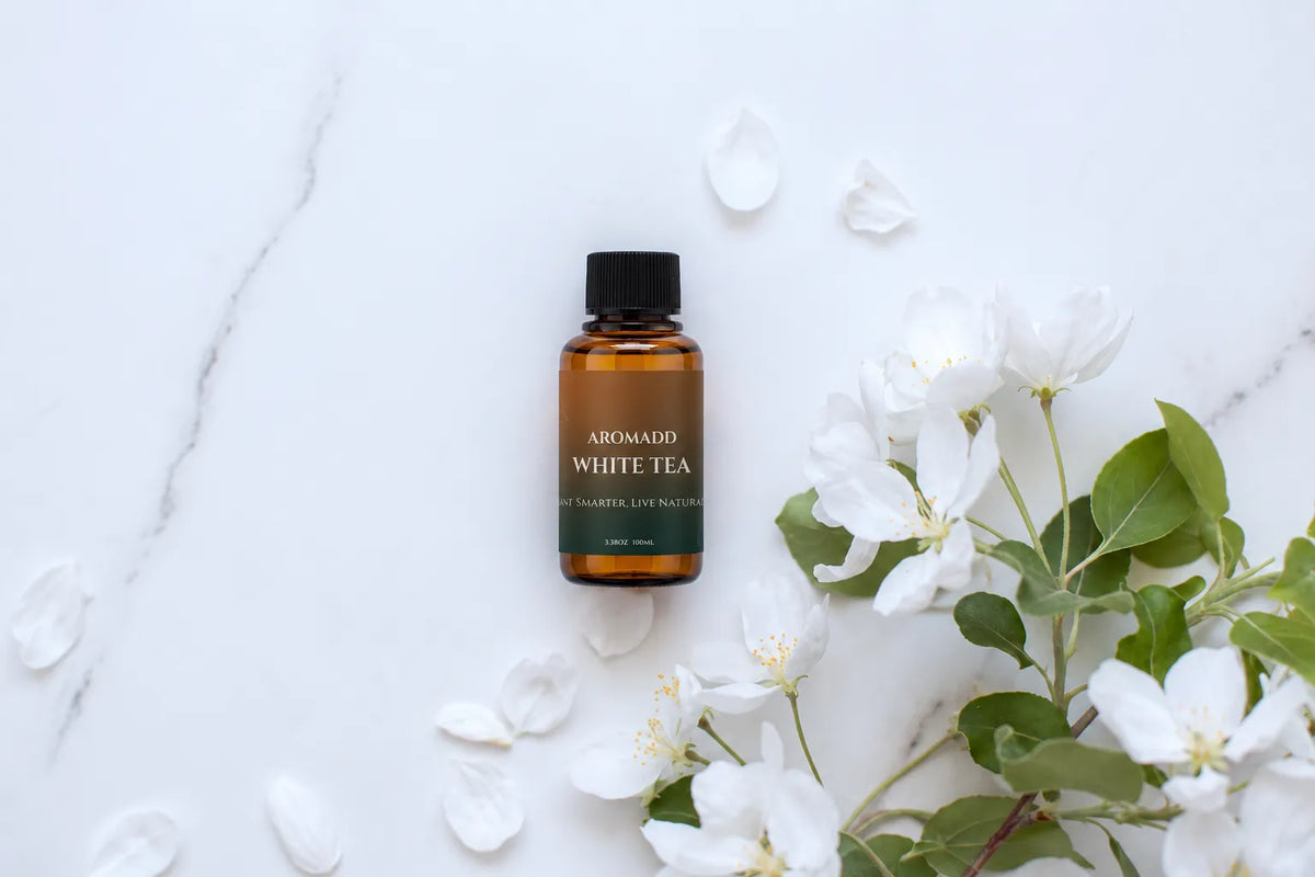 What Does White Tea Smell Like? White Tea Scent & Fragrance Notes Explained
