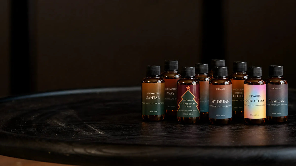 What Is a Woodsy Scent? Woody Fragrance Notes Explained for the Home